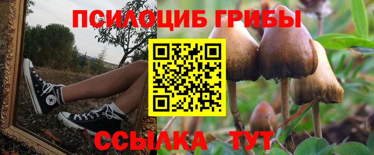 Галлюциногенные грибы MAGIC MUSHROOMS Фролово